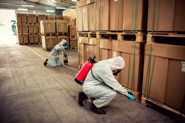 Best Pest Control Near Me in Ladoga, IN