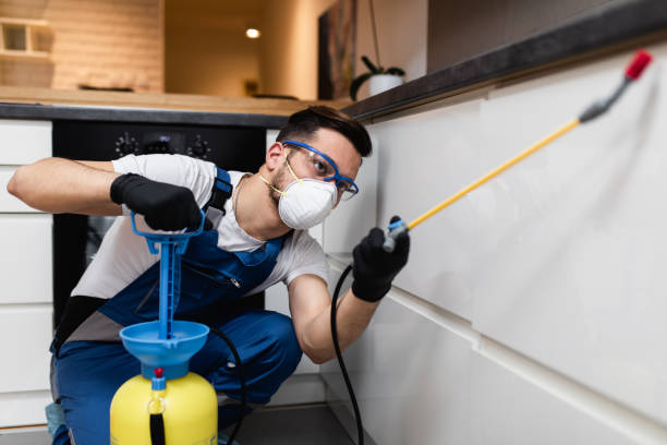 Best Flea Control Services  in Ladoga, IN
