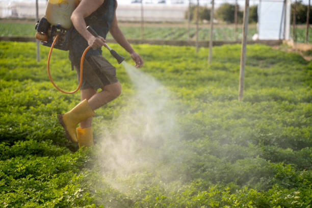 Best Exterminator Services  in Ladoga, IN